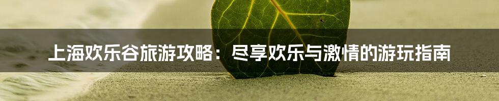 上海欢乐谷旅游攻略:尽享欢乐与激情的游玩指南