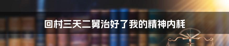 回村三天二舅治好了我的精神内耗