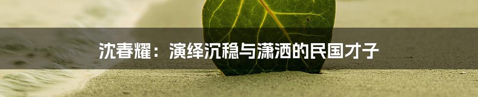 沈春耀：演绎沉稳与潇洒的民国才子