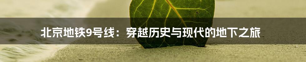 北京地铁9号线：穿越历史与现代的地下之旅