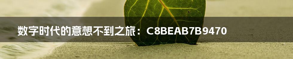 数字时代的意想不到之旅：C8BEAB7B9470