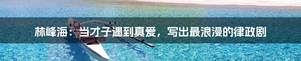 林峰海:当才子遇到真爱,写出最浪漫的律政剧