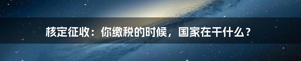 核定征收:你缴税的时候,国家在干什么?