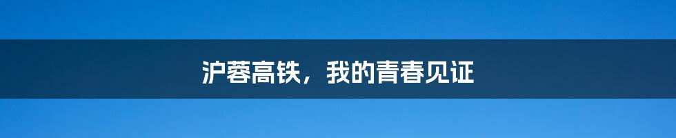 沪蓉高铁,我的青春见证