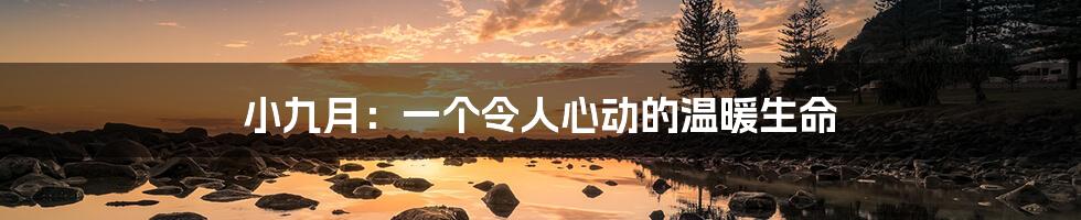 小九月：一个令人心动的温暖生命
