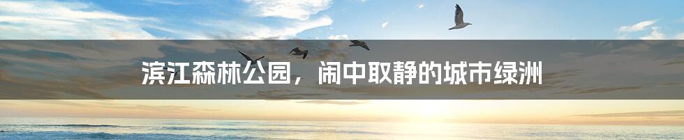 滨江森林公园，闹中取静的城市绿洲