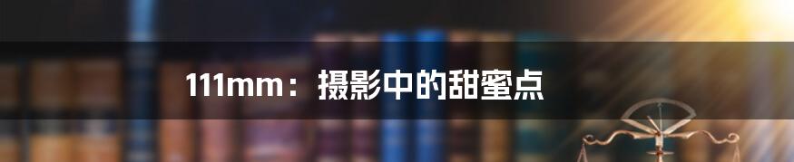 111mm:摄影中的甜蜜点