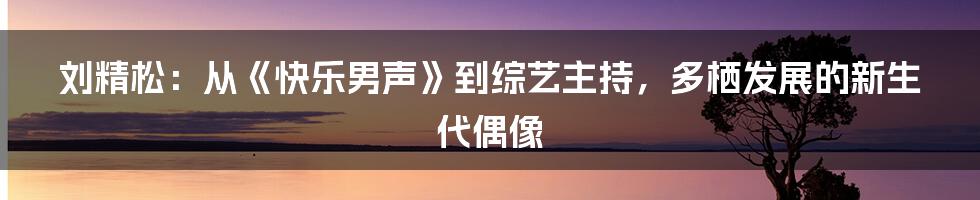 刘精松:从《快乐男声》到综艺主持,多栖发展的新生代偶像
