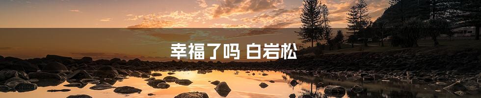 幸福了吗 白岩松