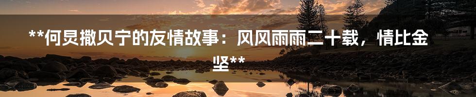 **何炅撒贝宁的友情故事:风风雨雨二十载,情比金坚**