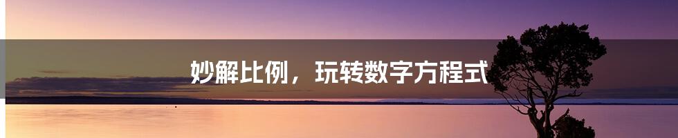 妙解比例，玩转数字方程式