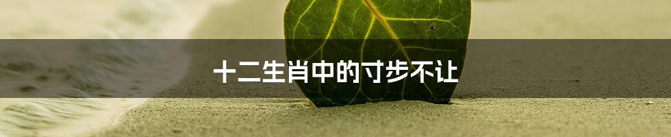 十二生肖中的寸步不让