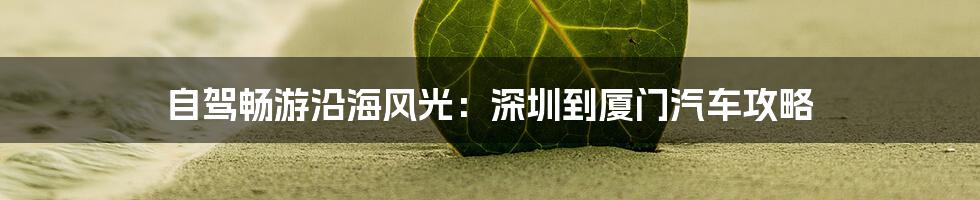 自驾畅游沿海风光:深圳到厦门汽车攻略