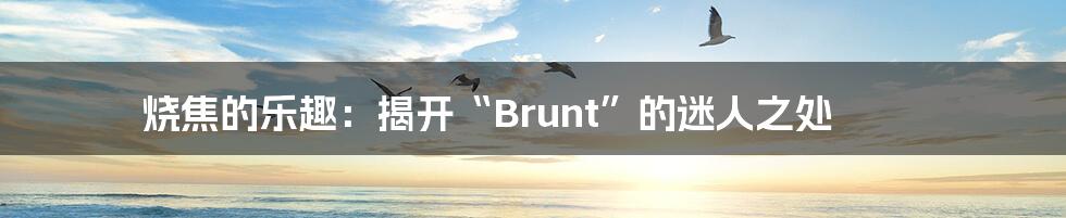 烧焦的乐趣：揭开“Brunt”的迷人之处