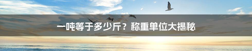 一吨等于多少斤?称重单位大揭秘