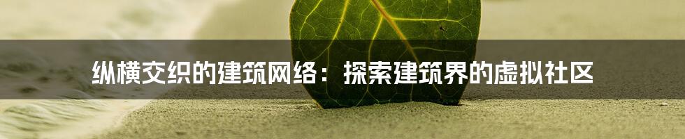 纵横交织的建筑网络：探索建筑界的虚拟社区