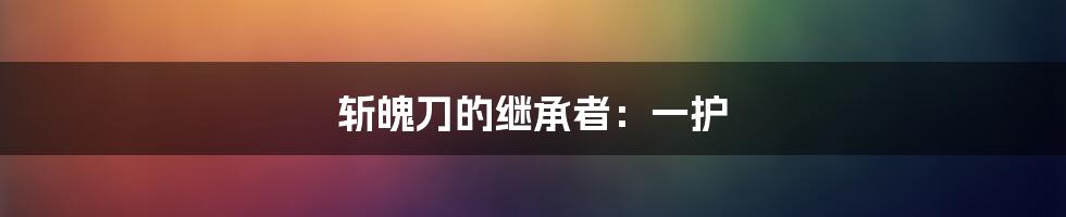 斩魄刀的继承者：一护