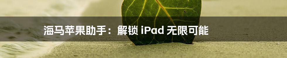 海马苹果助手：解锁 iPad 无限可能