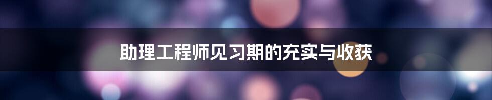 助理工程师见习期的充实与收获