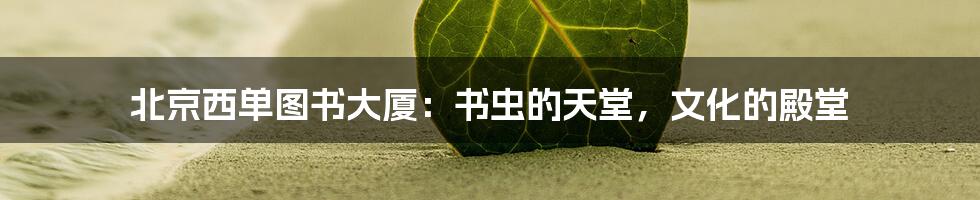 北京西单图书大厦：书虫的天堂，文化的殿堂