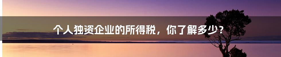 个人独资企业的所得税，你了解多少？