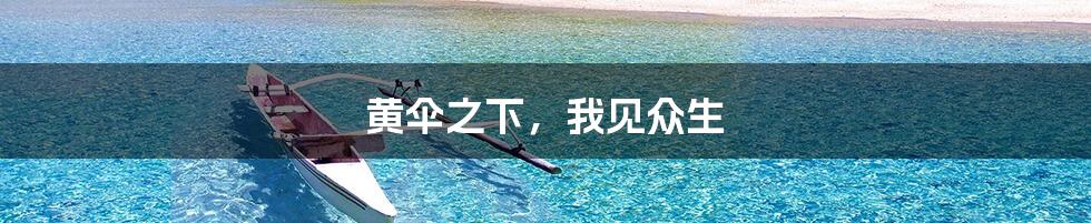 黄伞之下，我见众生