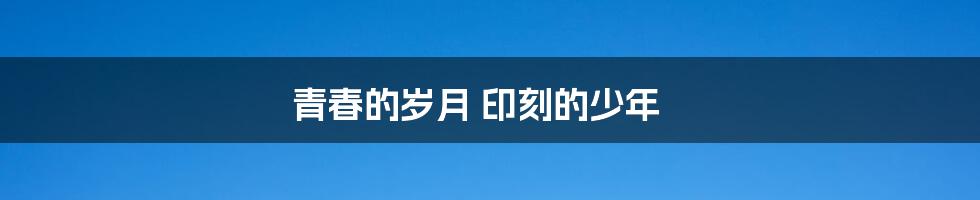 青春的岁月 印刻的少年