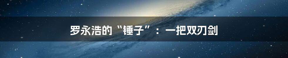 罗永浩的“锤子”:一把双刃剑