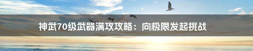 神武70级武器满攻攻略：向极限发起挑战