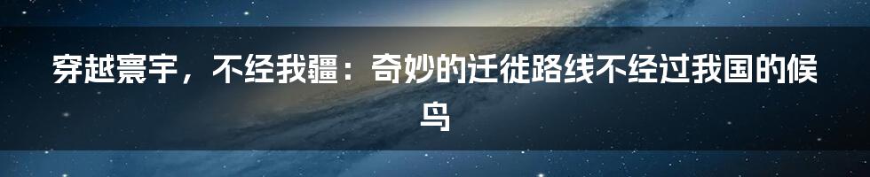 穿越寰宇,不经我疆:奇妙的迁徙路线不经过我国的候鸟