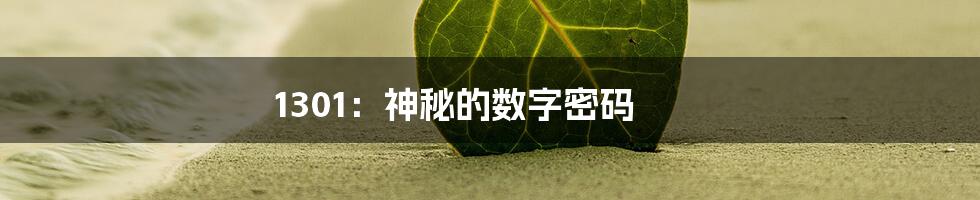 1301：神秘的数字密码