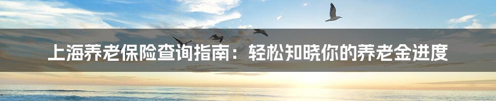 上海养老保险查询指南:轻松知晓你的养老金进度