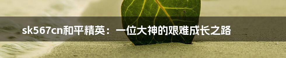 sk567cn和平精英:一位大神的艰难成长之路