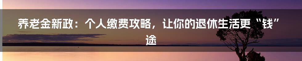 养老金新政：个人缴费攻略，让你的退休生活更“钱”途