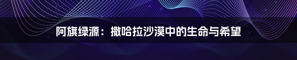 阿旗绿源：撒哈拉沙漠中的生命与希望