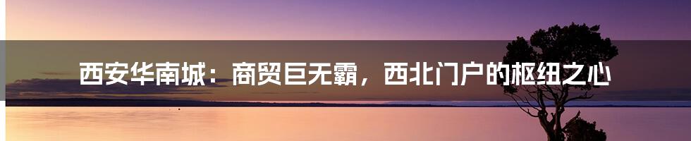 西安华南城：商贸巨无霸，西北门户的枢纽之心