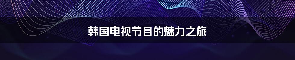 韩国电视节目的魅力之旅