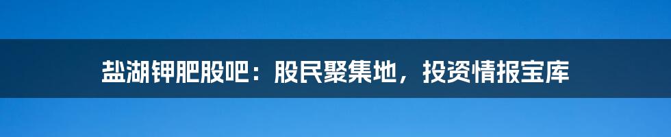 盐湖钾肥股吧：股民聚集地，投资情报宝库