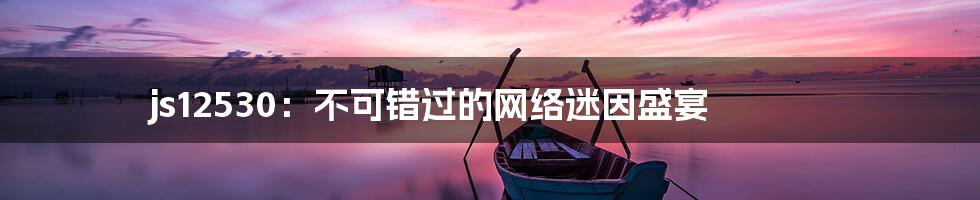 js12530：不可错过的网络迷因盛宴
