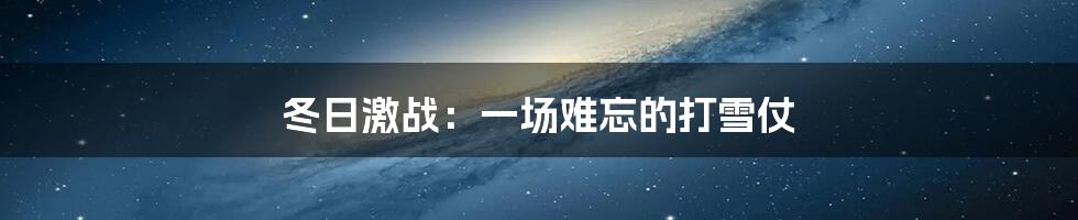 冬日激战：一场难忘的打雪仗