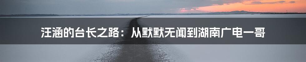汪涵的台长之路:从默默无闻到湖南广电一哥