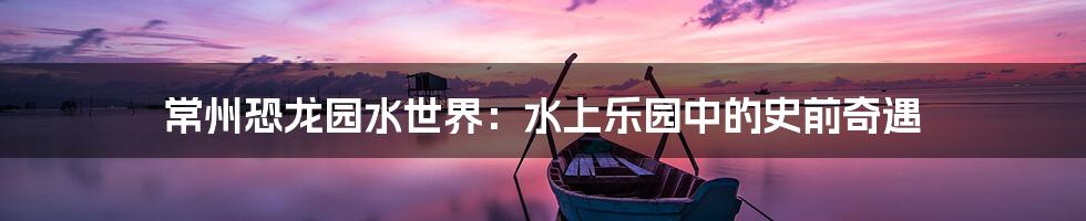 常州恐龙园水世界:水上乐园中的史前奇遇