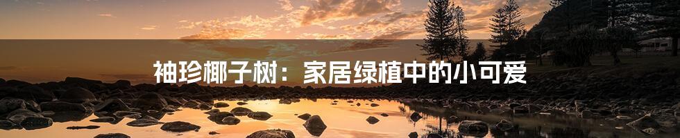 袖珍椰子树：家居绿植中的小可爱
