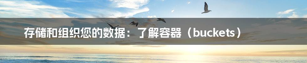 存储和组织您的数据:了解容器(buckets)