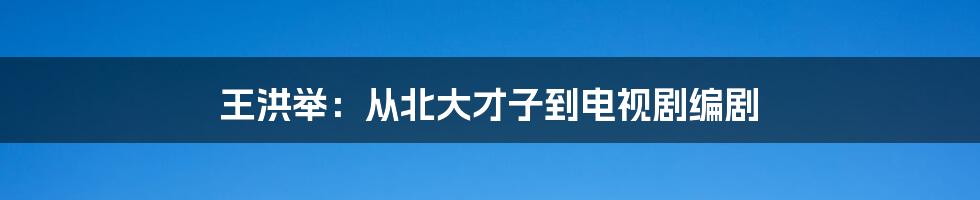 王洪举:从北大才子到电视剧编剧