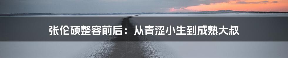 张伦硕整容前后：从青涩小生到成熟大叔