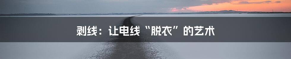 剥线：让电线“脱衣”的艺术