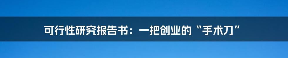 可行性研究报告书：一把创业的“手术刀”