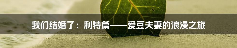 我们结婚了：利特篇——爱豆夫妻的浪漫之旅