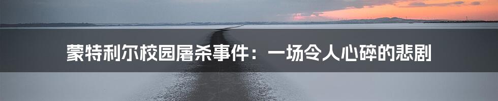蒙特利尔校园屠杀事件：一场令人心碎的悲剧